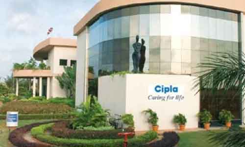 Looking at sustaining growth through pandemic: Cipla