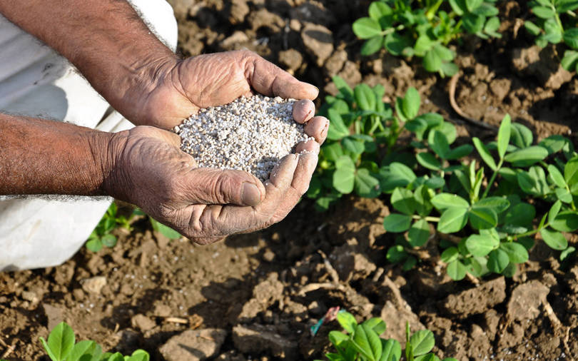 Fertiliser sales volume to spurt 10 pc to record 68 million tonnes in FY21: Report