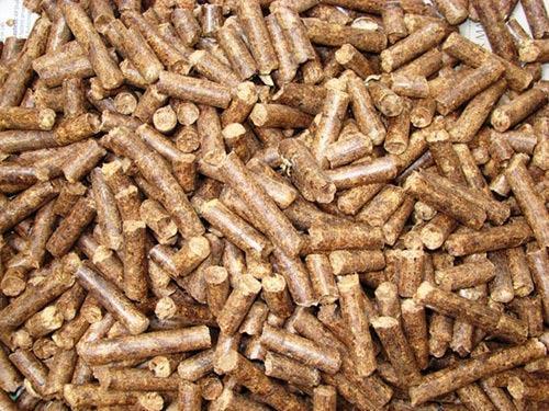 NTPC invites bids for supply of biomass pellets for its 17 thermal plants