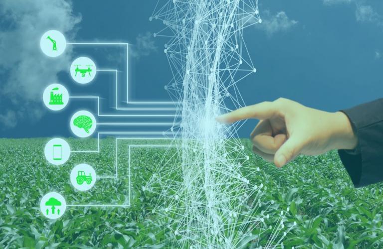 Bosch and BASF Establish Joint Venture for Digital Technologies in the Agricultural Sector