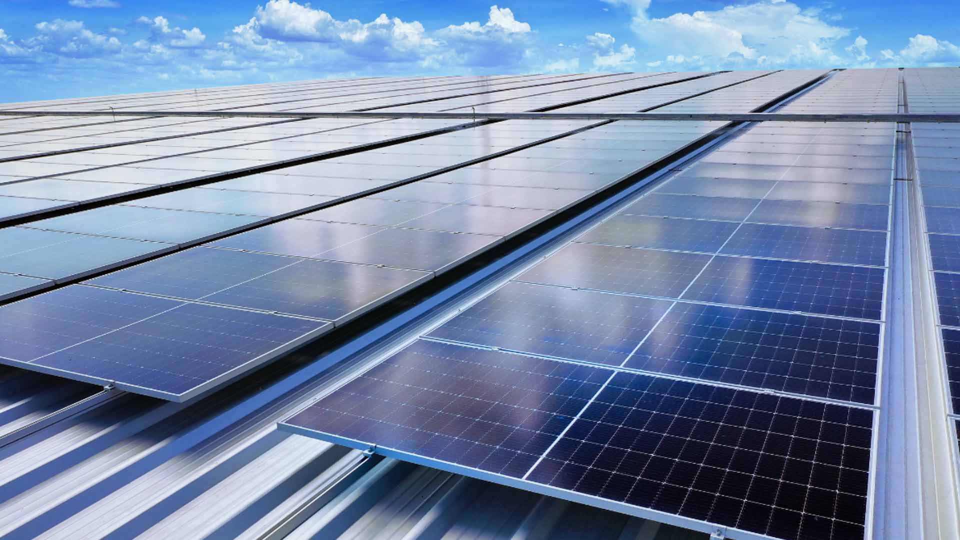 waaree-renewable-technologies-commissions-87-5mw-solar-project