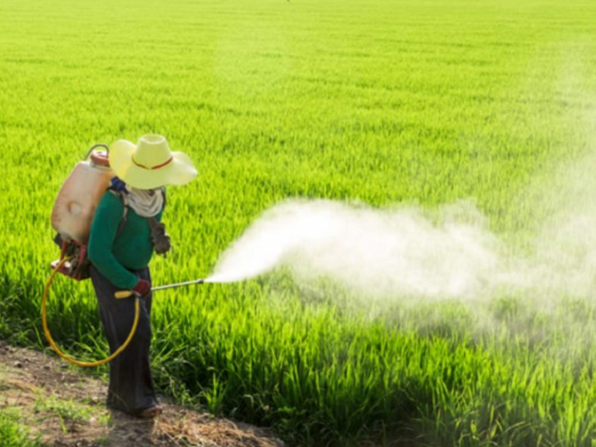 Insecticides India's ambitious Rs 150 crore expansion drive to bolster ...