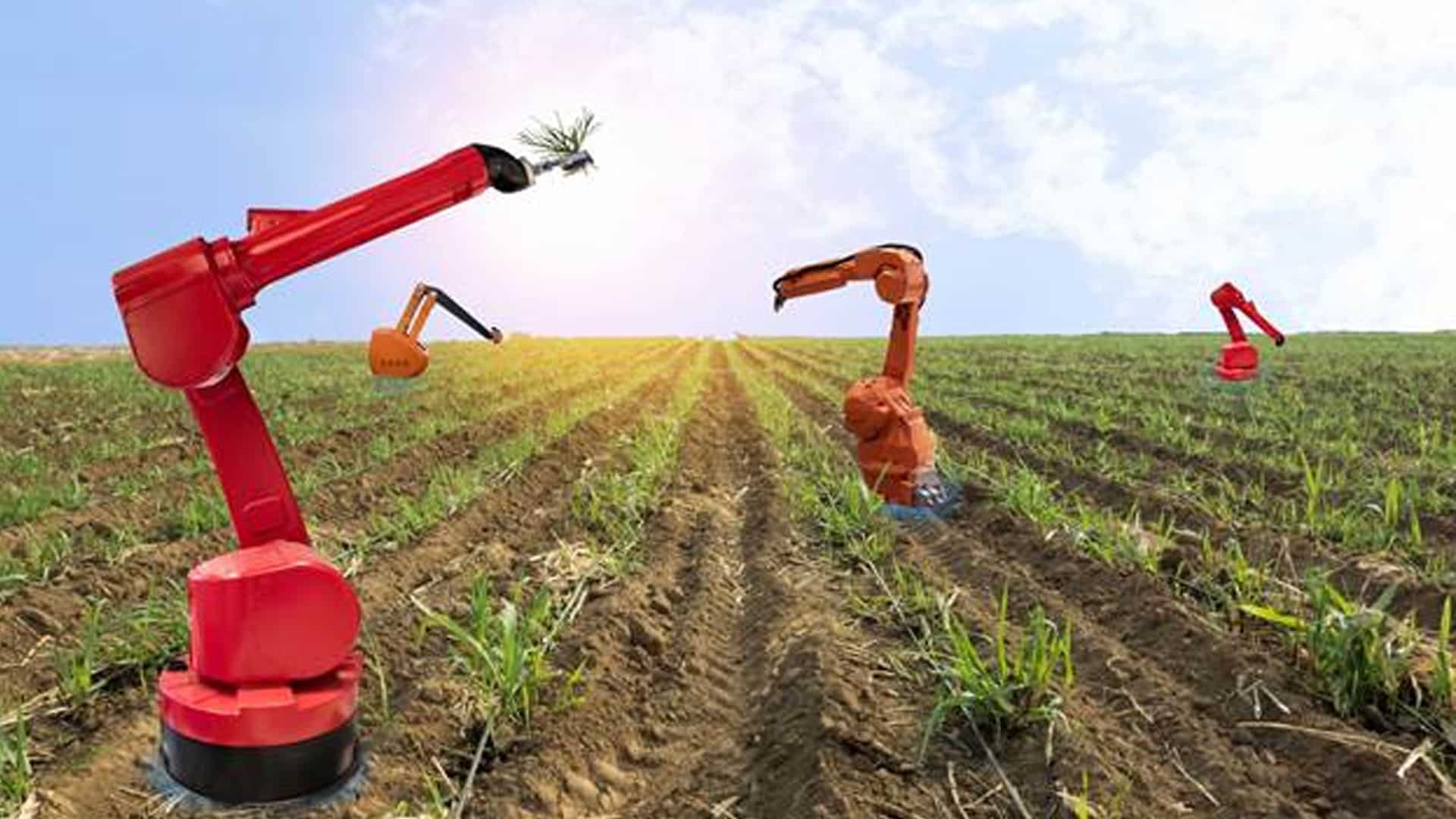 Agricultural robots industry: Innovating solutions for the challenges ...