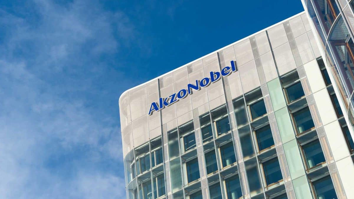 Akzo Nobel explores partnership or sale options in India's ...